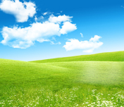 {tagActivity.tagContent }