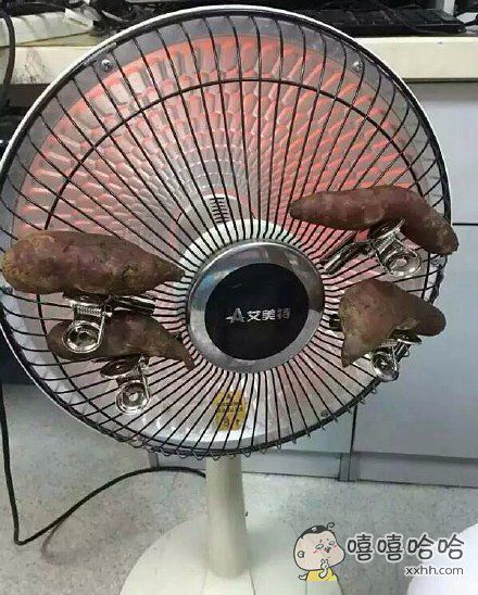 天太冷了用取暖器烤地瓜吃,不知道何时可以的