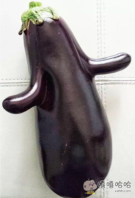 欢乐大茄子,咿呀伊尔呦。