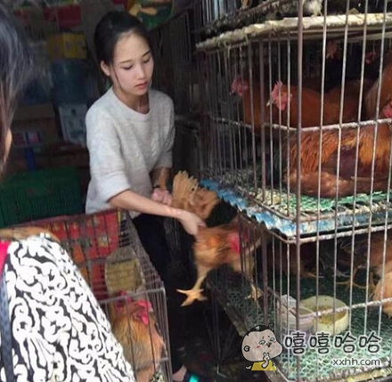 家楼下有一妹纸卖鸡,谁想买啊的评论_百田搞