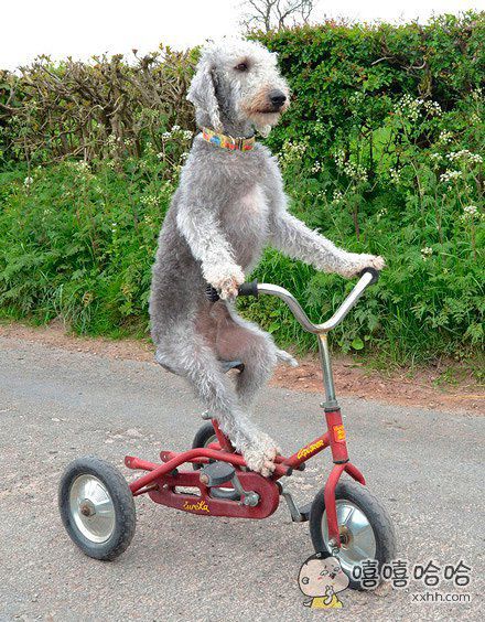 上车!带你去兜风!