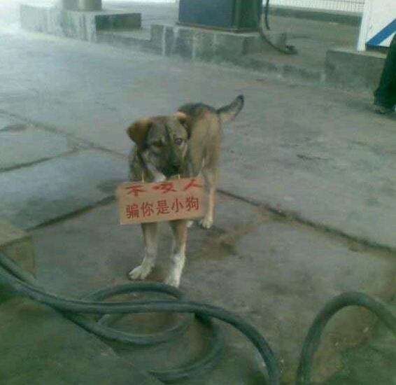 一个猎人带着猎狗去打猎,在林子里溜了一天都没有猎物。 天黑了,不甘心的他还是不停骑马在林子里转, 马忽然说:‘你都不让我休息,想累死我啊!?’ 猎人听到吓了一跳,立刻从马背上滚下来,拉着猎狗就逃跑, 跑到一课大树下喘气时, 狗拍拍胸口对他说: ‘吓死我了,马居然会说话!’ 于是猎人当场被吓死了…………………