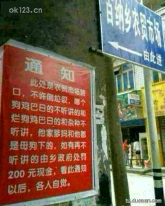 自本人2007年拥有手机以来,由于有存短信的特殊癖好,得出以下不完全统计:累计中奖63次,奖金共计1260万元(人民币),另有苹果手机39部、电脑9台、轿车17辆,收到法院传票38张,被大学录取27次;此外,女友被绑架5次,女友被拐卖3次,儿子嫖娼被张警官抓住13次。