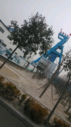 小臭妮,还记得柳笛吗?当垂柳舞弄春风时,也是我们最快乐的时刻!强哥爬上柳树,折来嫩枝,轻轻拧动,树枝的嫩皮就慢慢松动,用细白的小牙咬住白嫩的树枝拽…柳笛就有了雏形,稍作加工,咿呀咿呀的笛声就回荡在山村…
小臭妮,每个夏天我们都去割草,天气炎热,强哥就给你做帽子,还是用柳树枝!强哥还把野花插满帽沿,你光着脚丫开心的跑…
当然,你娘还经常上俺捋柳芽,她喜欢吃,俺奶奶也喜欢吃亲,咱们种柳树去!