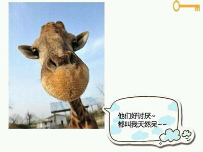小卖铺里出来一对情侣,一人一瓶冰红茶。正当我也准备过去买水喝的时候,女的在后面喊男的:“喂,这上面写再来一瓶是啥意思?”男的头也不回,说:“不知道。”于是,女的随手把瓶盖扔地上了。这一幕被我看到,以为碰见俩白痴。待他们走远,我急忙跑去捡起来,又是吹,又是对太阳看,哥看清了,四个大字:谢谢品尝…