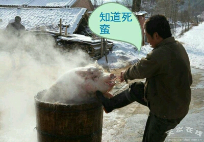 一天,小明的妈妈带着小明去雕塑馆。走到四个雕塑前。第一个雕塑用手捏着鼻子,第二个用左手顶着头低头沉思,第三个用手指着第四个,第四个用双手捂着脸。小明问妈妈怎么雕塑这个样子。妈妈不懂装懂调侃的说:“第一个再说‘谁放屁?’第二个说:‘不是我!‘第四个说:’是第四个放的。’第四个说:‘哎呀!不好意思,这样都被你们知道了。’ ”
+Q:2 5 7 1 3 1 2 6 5 4
