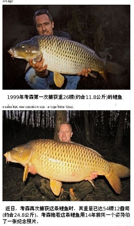 穿越时空钓到你
这是一个钓鱼爱好者和一条鲤鱼的甜蜜故事
1999年,这位仁兄在湖边钓到一条11.8公斤的鲤鱼,鲤鱼兄身体一侧有一个独特的秃斑,14年后的一天,他闲着没事,来到之前钓到鲤鱼兄的地方,一竿下去,嘿!又把鲤鱼兄给钓上来了!这回它已近25公斤啦!这次他仍然放它走了。