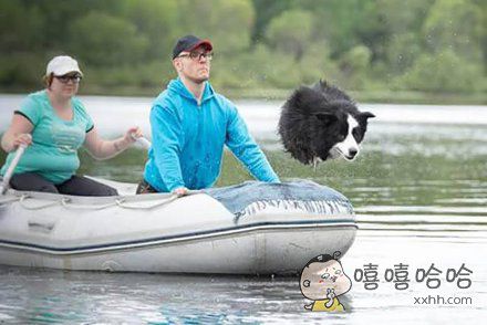 一颗赛艇,上飞出的炮弹的评论_百田搞笑大全