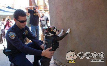 不许动,我是警察,搜身。_百田搞笑大全