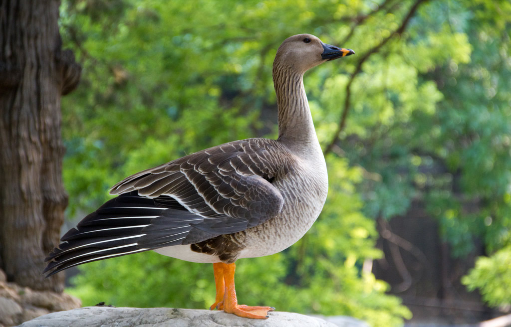 不要对我说谎最新章节_不要对我说谎全文阅读