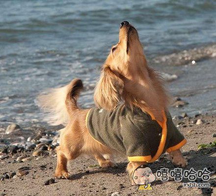 问苍天谁是英雄