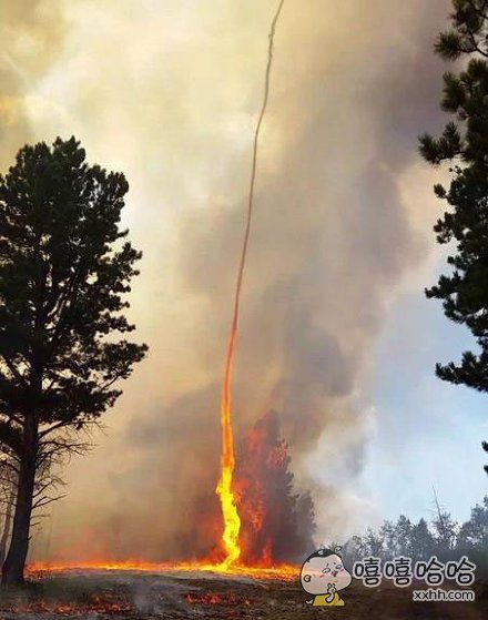 “火龙卷”的评论_百田搞笑大全