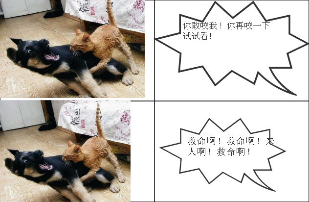 猫咬狗