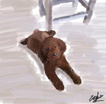 【指绘】取什么名字呢