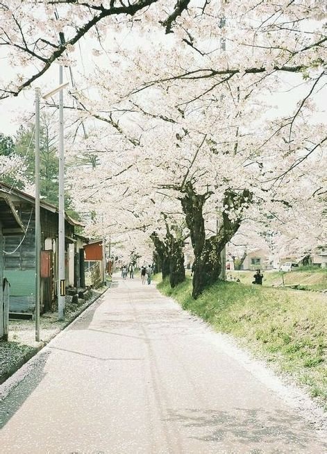 【犹君】每一个蠢萌的女主背后都有一个学霸的