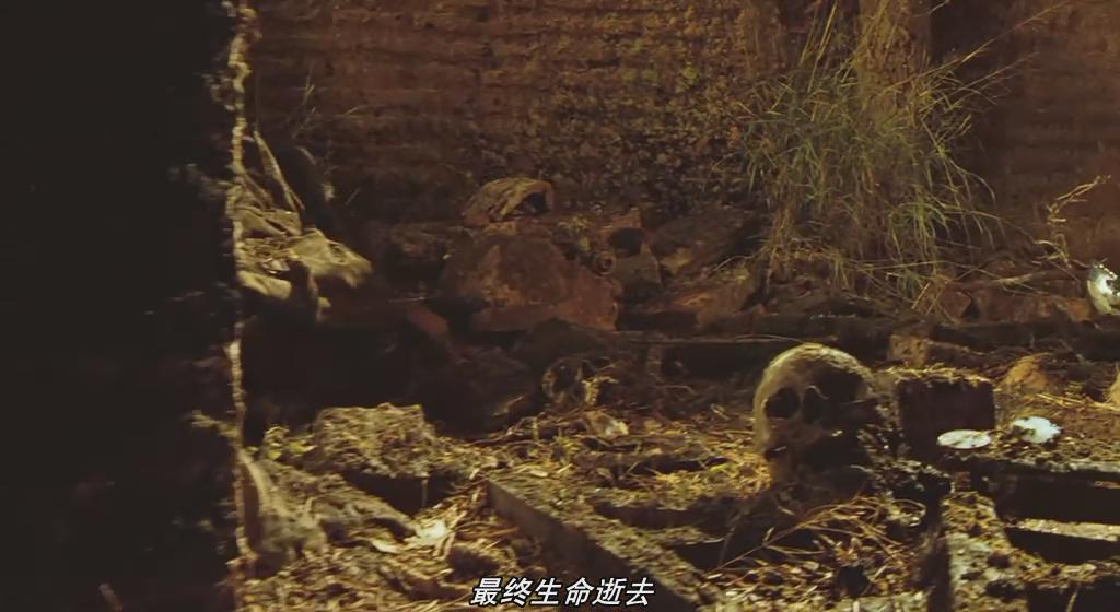 【狗带】图解《潘神的迷宫》ps:胆小的表进= =