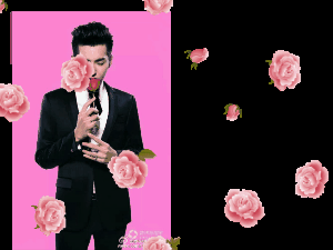 动态gif图能抠图吗?