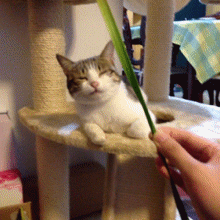 0657除以0.5_百田表情包圈