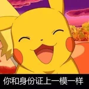 [月隐]皮卡丘表情包(来源:网络)