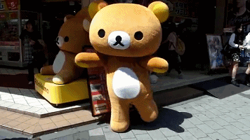 林莫.扣1给软件. 美人迟暮.