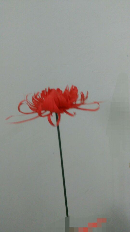 【彼岸花和菊花的制作】
